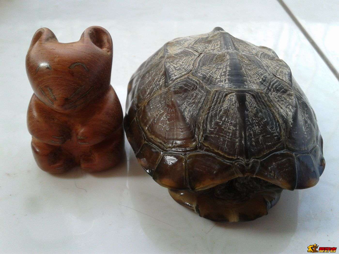 20130212_121124.jpg