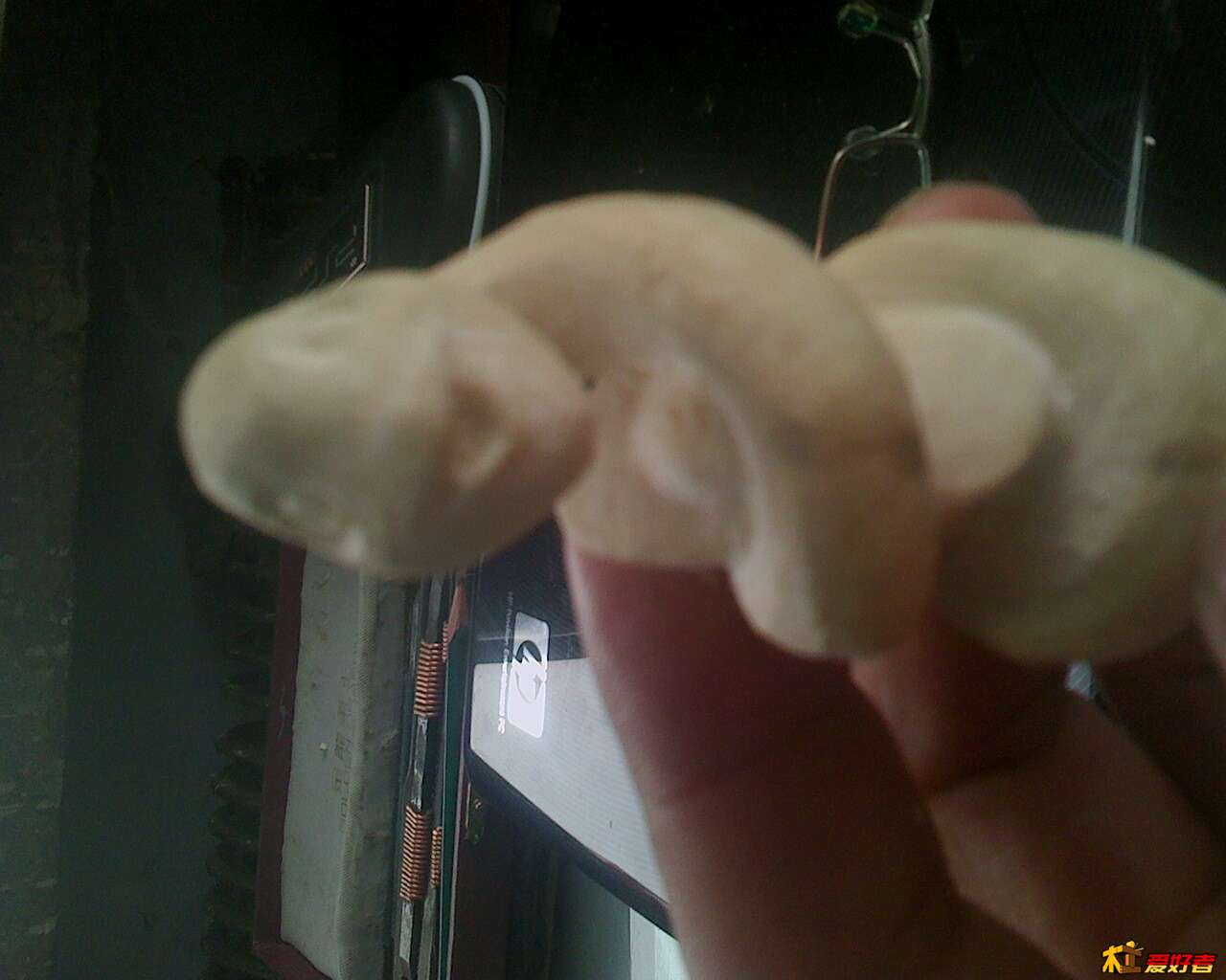IMG0213073100.jpg