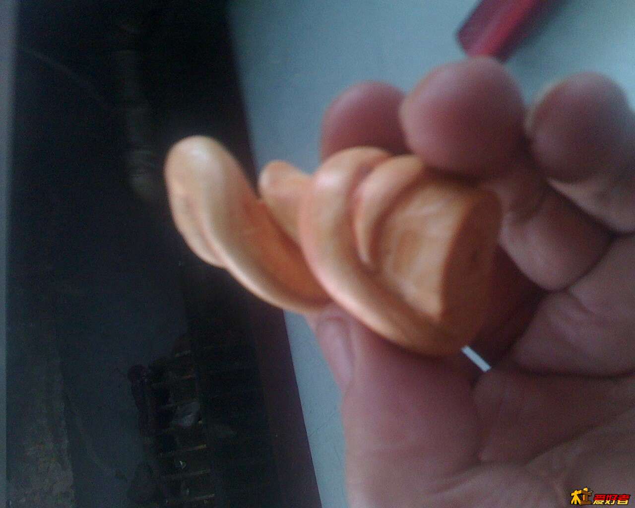 IMG0214072203.jpg