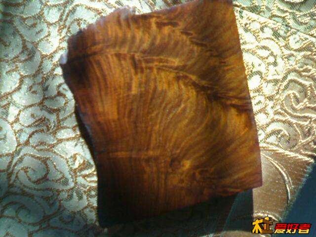 1_20070428.jpg