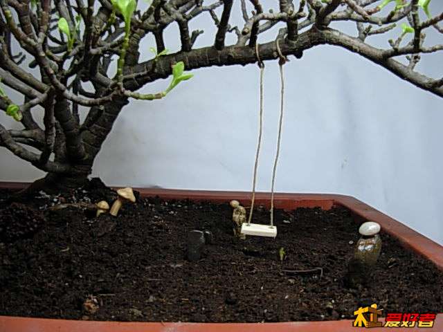 DSCN0177.JPG