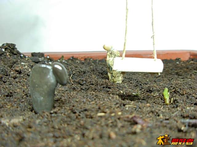 DSCN0178.JPG