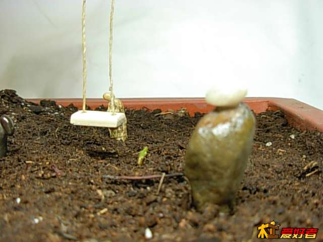 DSCN0179.JPG