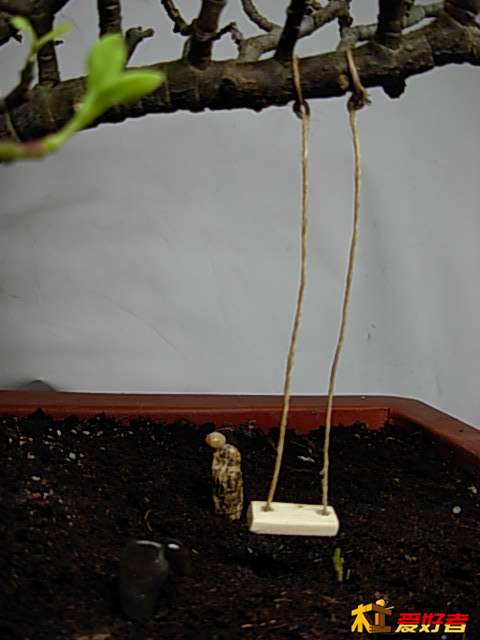 DSCN0181.JPG