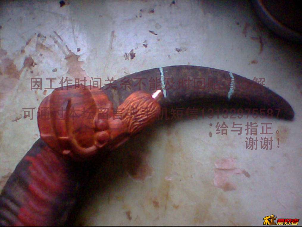 IMG0728A.jpg