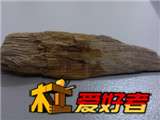 IMG_20130318_122951.jpg
