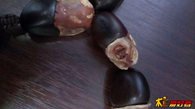 IMAG0466.jpg