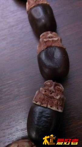 IMAG0459.jpg