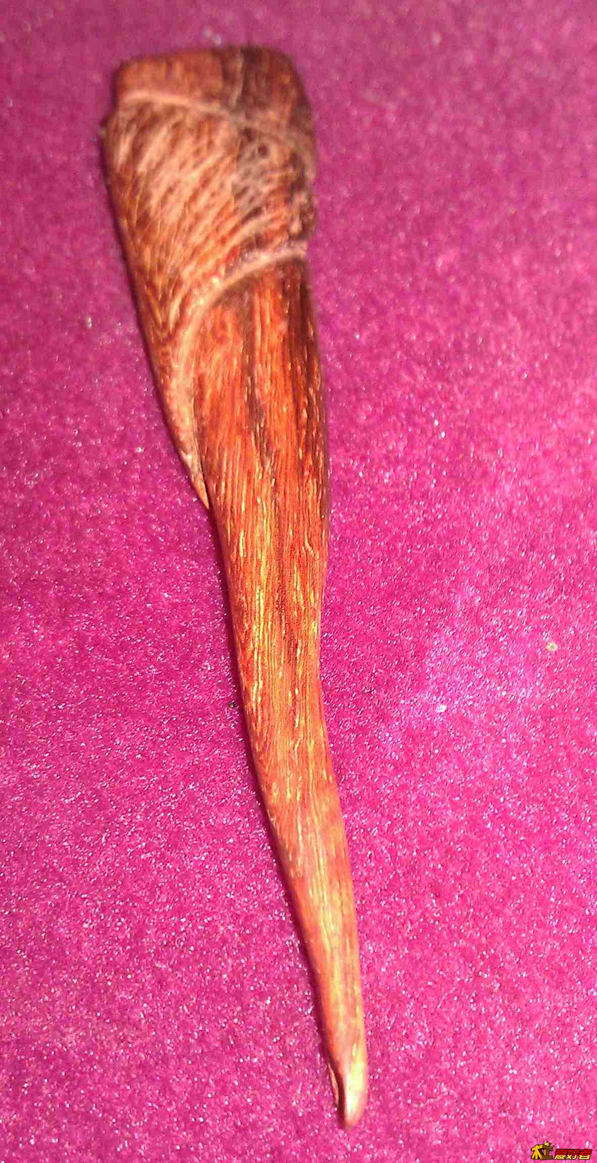 IMAG1029.jpg
