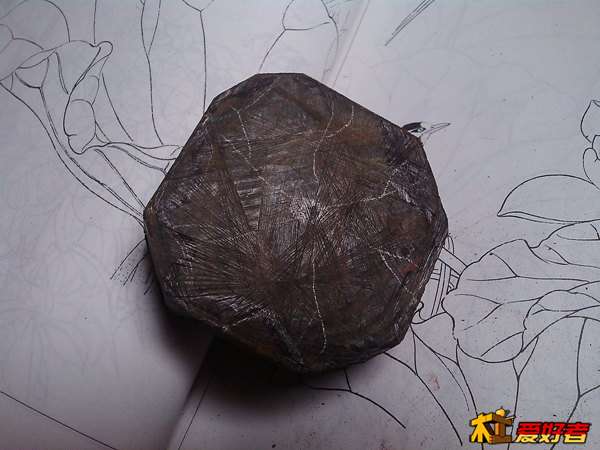 IMG_20130404_123046.jpg