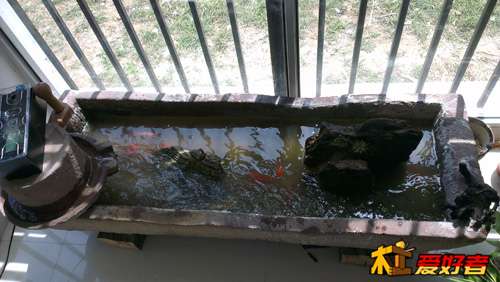 IMAG0135.jpg