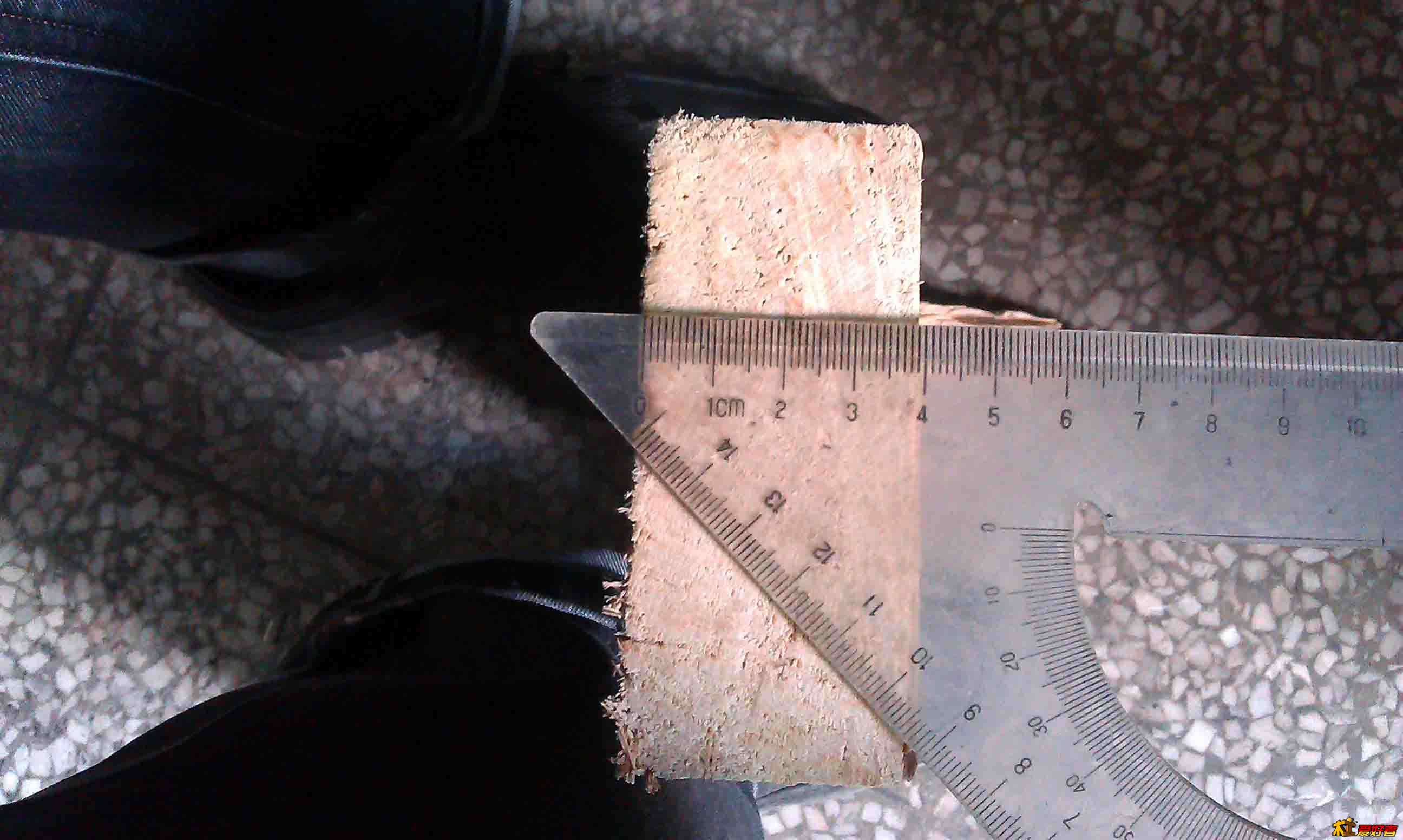 IMAG0355.jpg