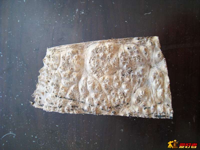 175323dy4f1gge56eldezf.jpg