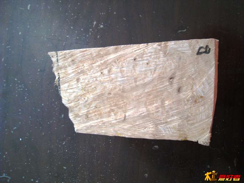 175314nl6tft2hphmttmth.jpg