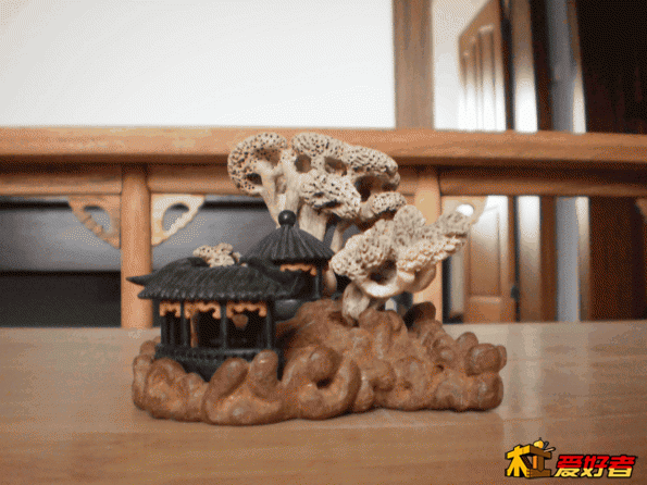P4130004.gif