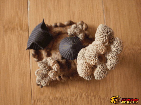 P4130006.gif