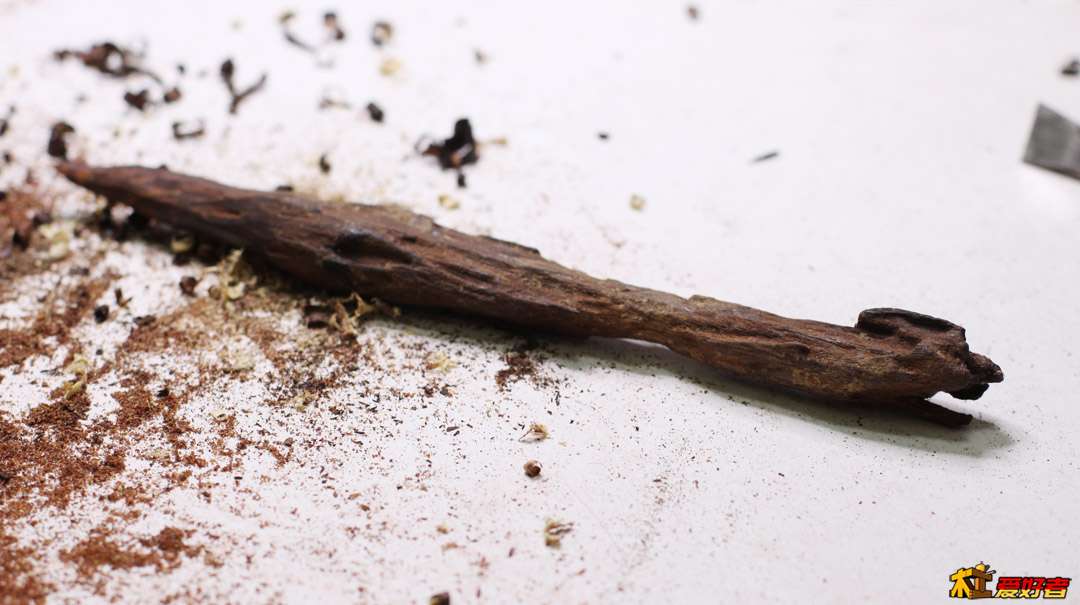 一根烂木头，对他不抱什么幻想
