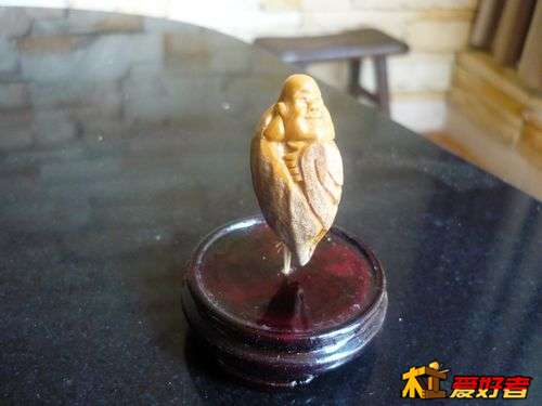 照片 1830.jpg