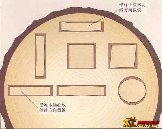 预测木料的胀缩运动.JPG