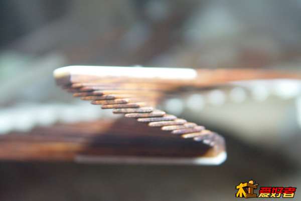 DSC08073_调整大小.JPG