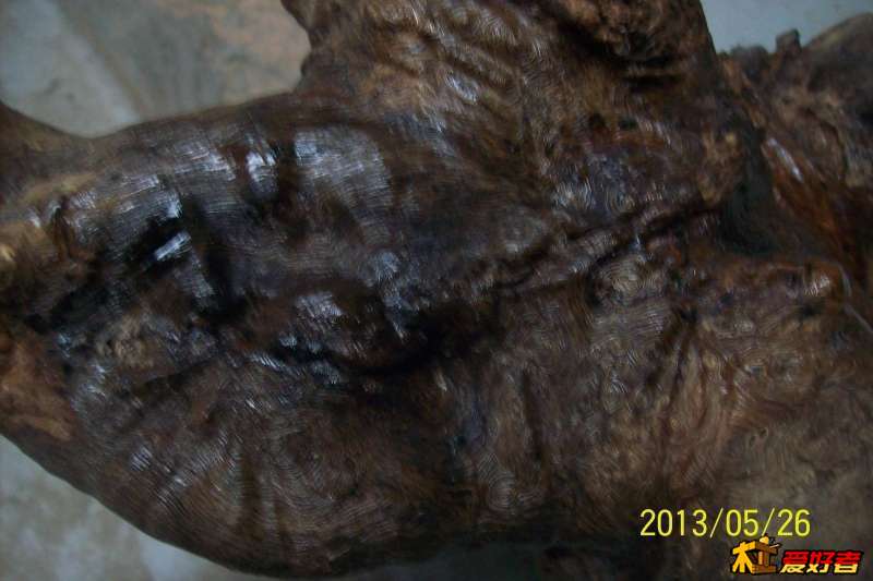 230316nzfrqkbio5oijqpf.jpg