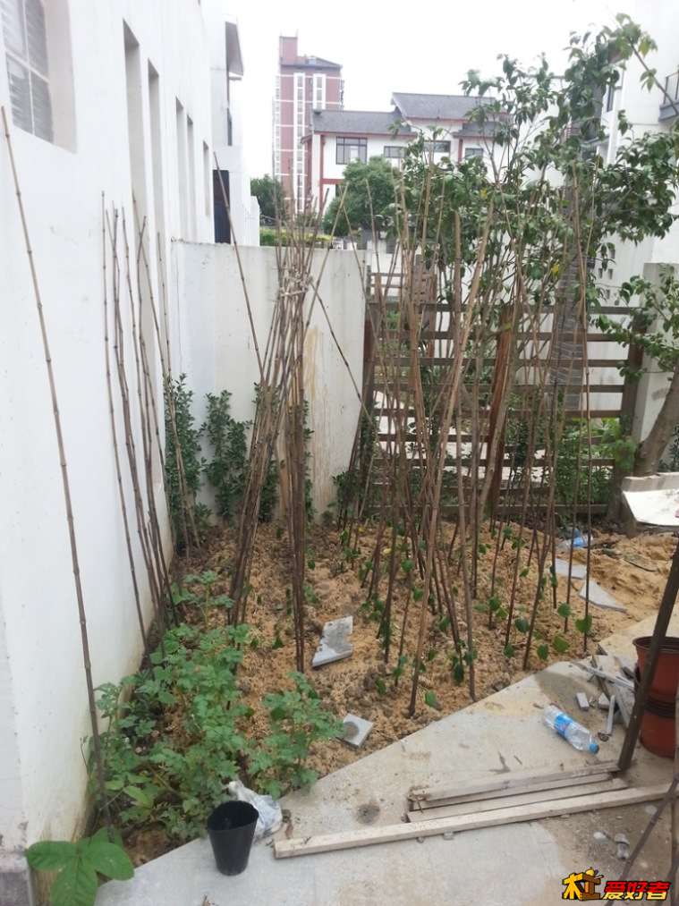 20130602_121153.jpg