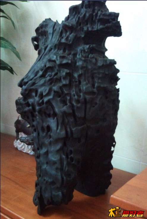 201.jpg
