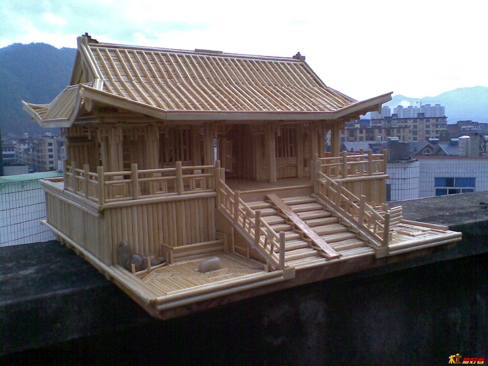 20130205_008.jpg