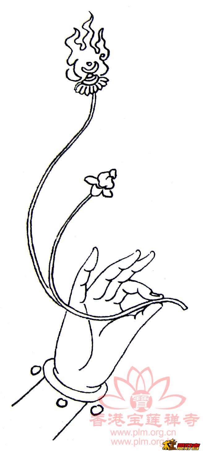 s_2009219224930.jpg