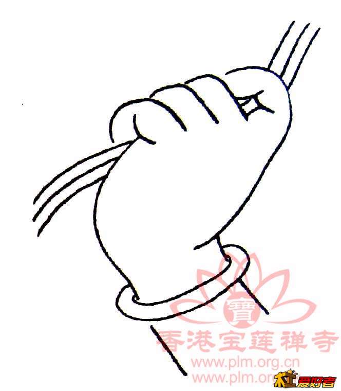 s_2009219225525.jpg