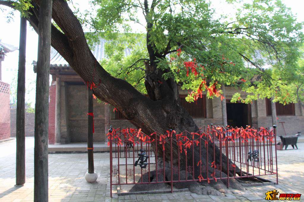 调整大小 IMG_1073.JPG