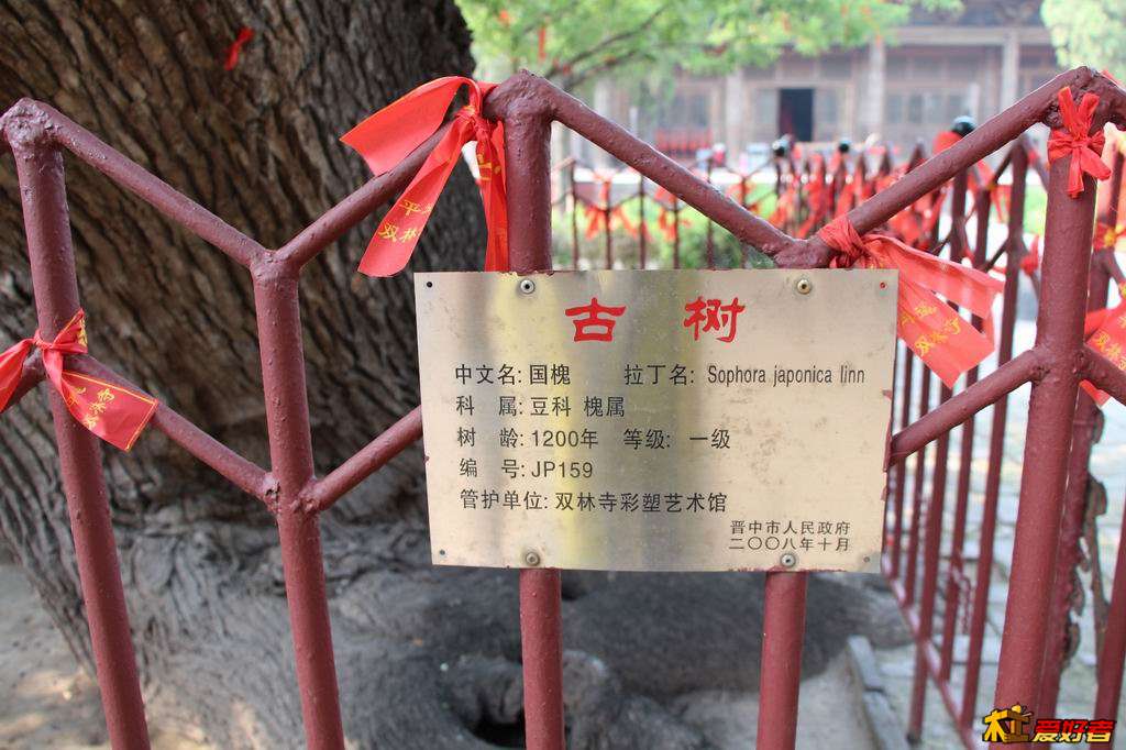 调整大小 IMG_1074.JPG