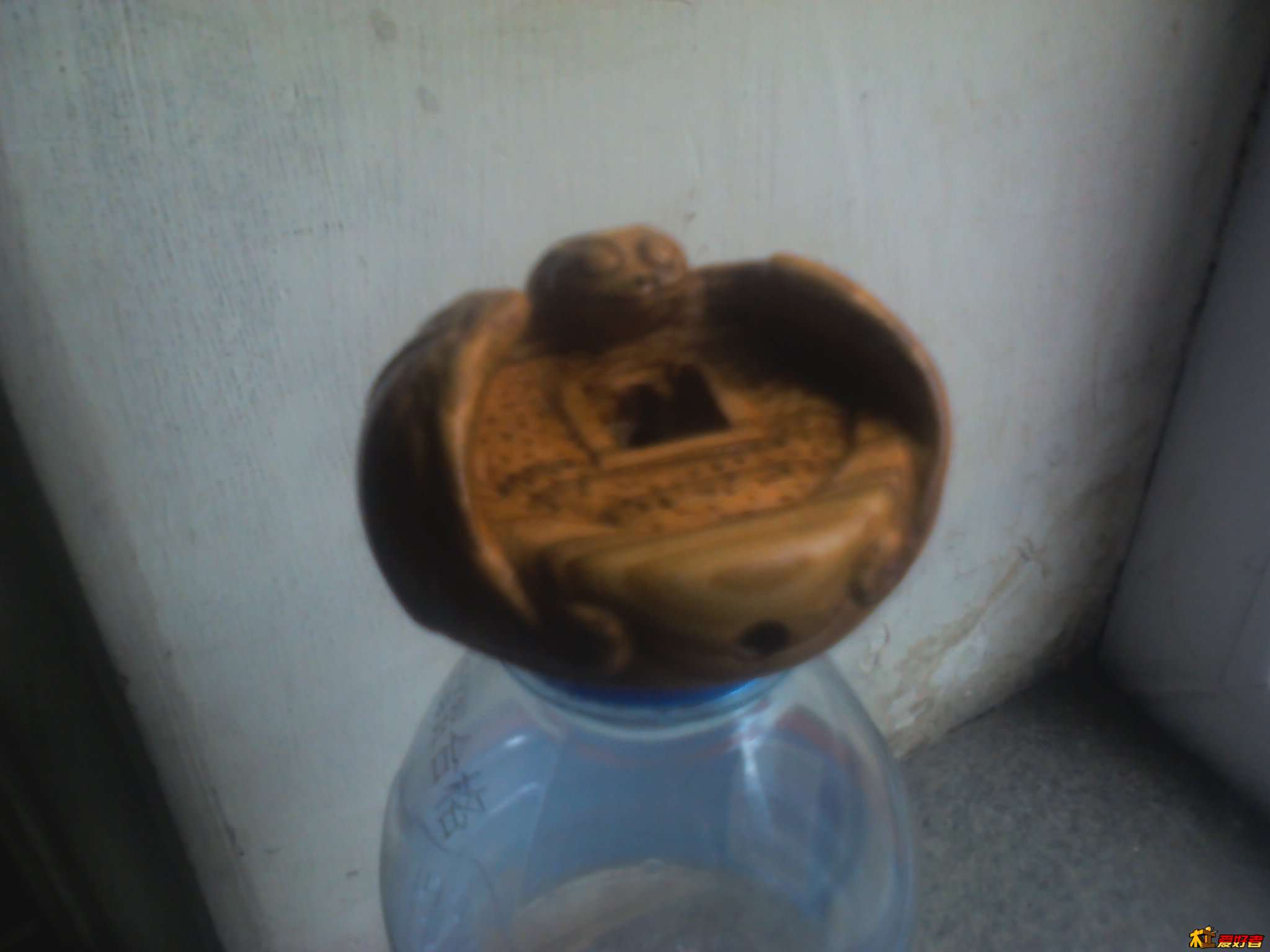 YP20121009125130.jpg