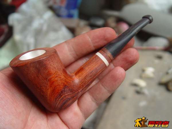 DSC08290_调整大小.JPG