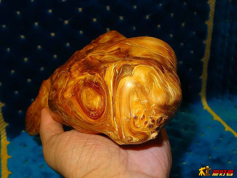 DSC06984_副本.JPG