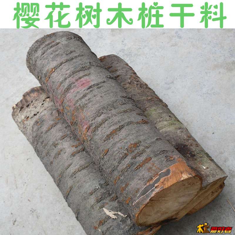 樱花树主图.jpg