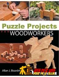 Puzzle Projects for Woodworkers 2007_益智項目木材.jpg