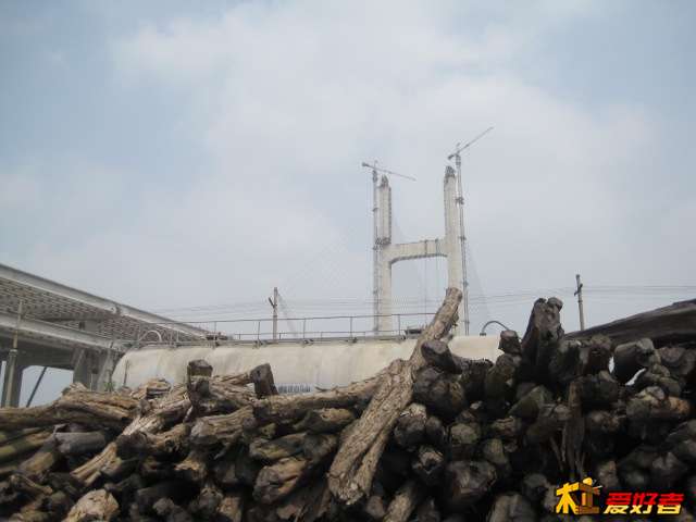Picture 009.jpg