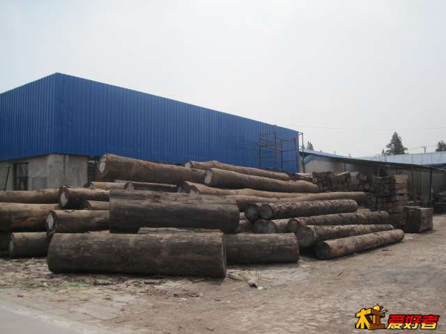 Picture 015.jpg