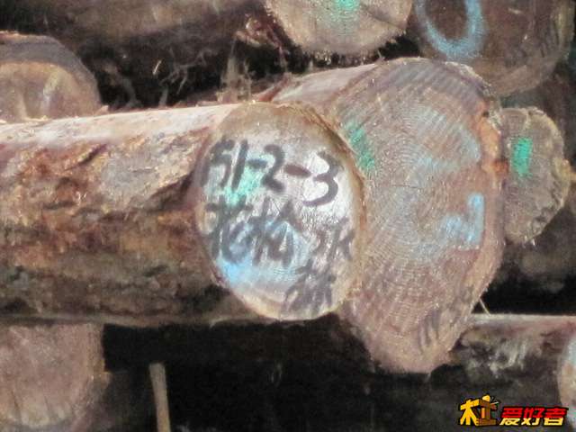 Picture 069.jpg