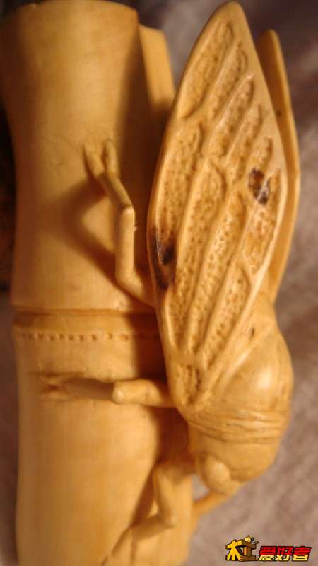 psb (1).jpg
