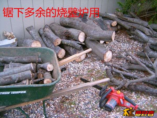 SUC30080.JPG