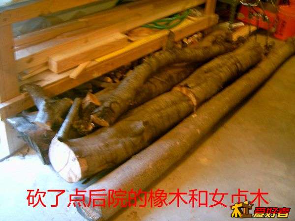 SUC30079.JPG