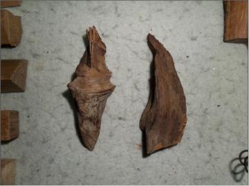 QQ图片20130917155126.jpg