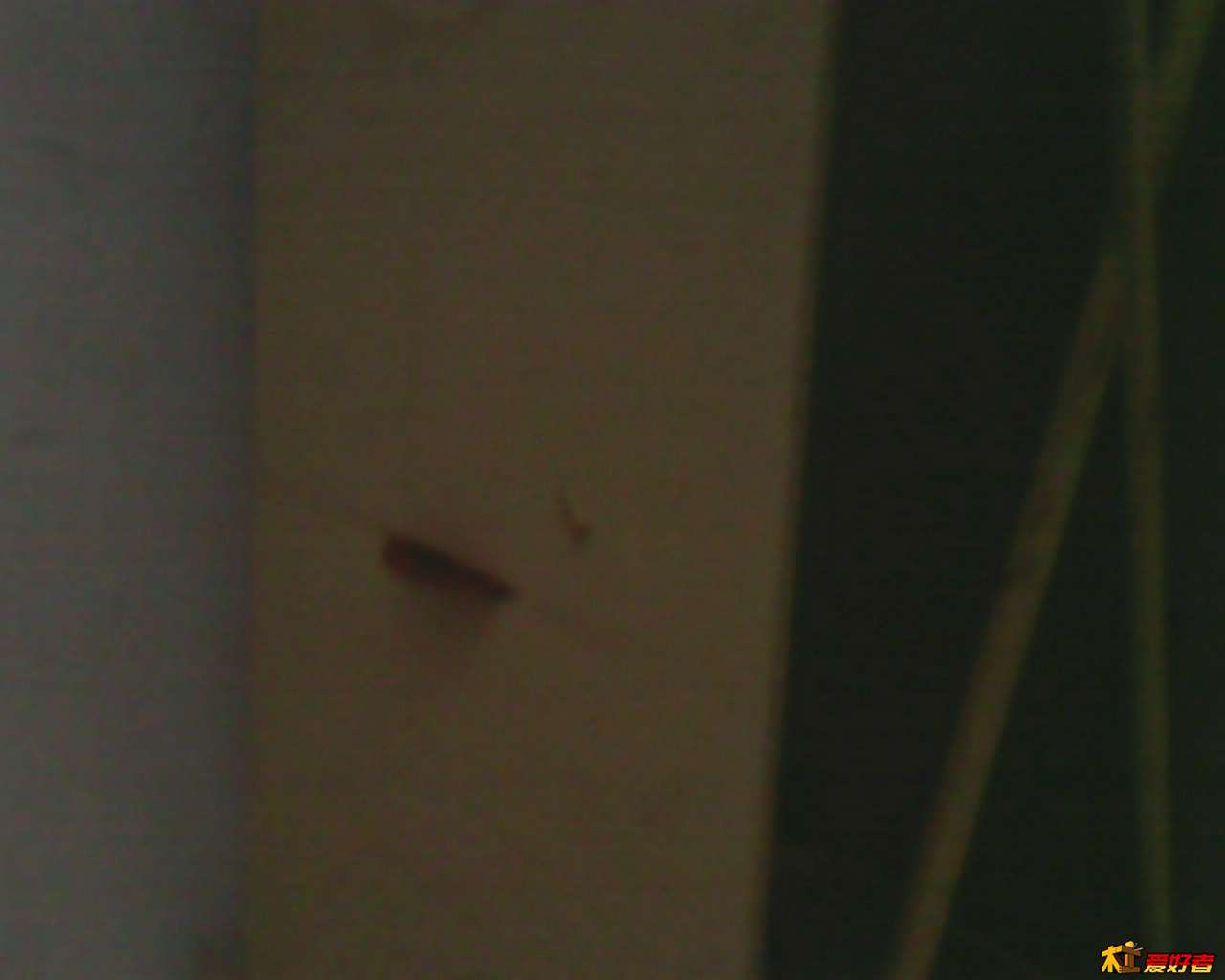 IMG_20130911_182002642.jpg