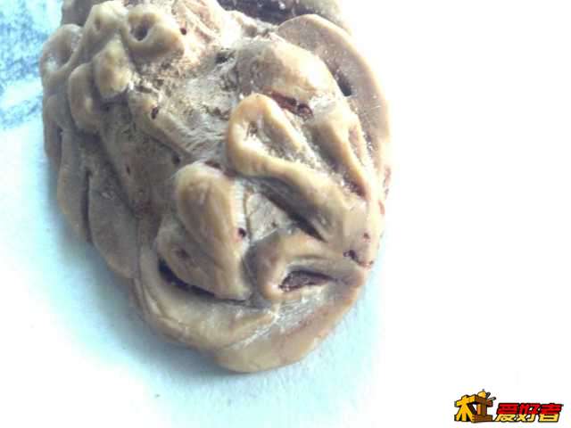 2013-10-14_10-27-31_385.jpg