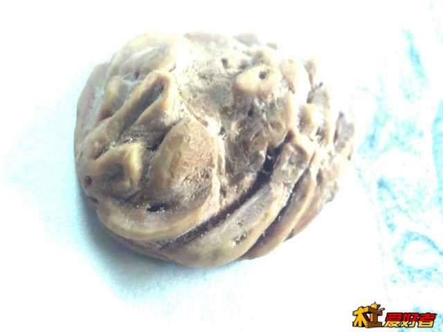 2013-10-14_10-28-03_482.jpg