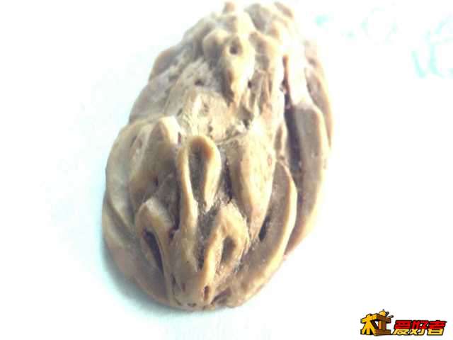 2013-10-14_10-27-51_193.jpg