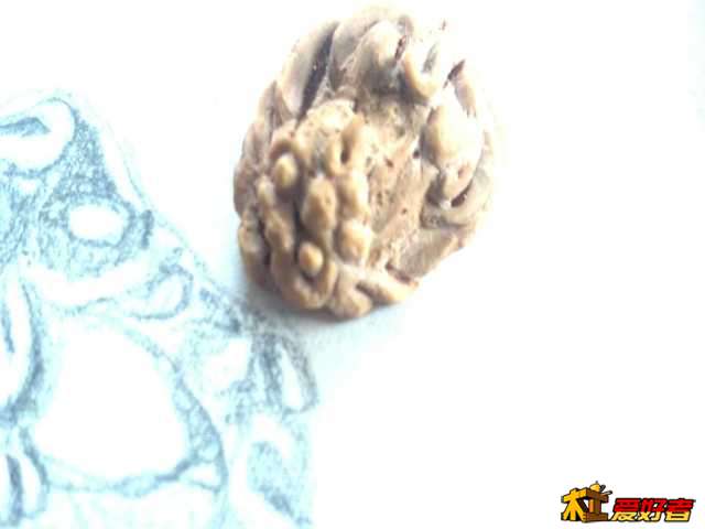 2013-10-14_10-26-49_50.jpg