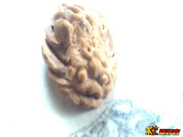 2013-10-14_10-26-26_187.jpg